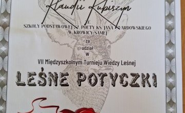 Leśne potyczki