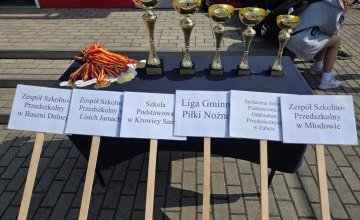 MIITYNG LEKKOATLETYCZNY