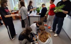 zdjęcie (4)