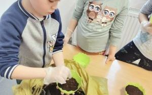 zdjęcie (5)