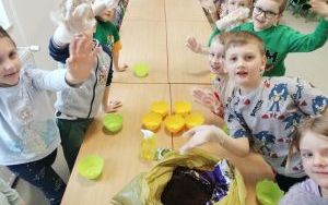 zdjęcie (5)