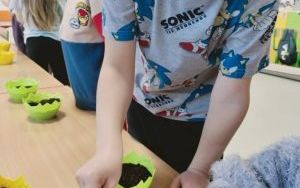 zdjęcie (10)