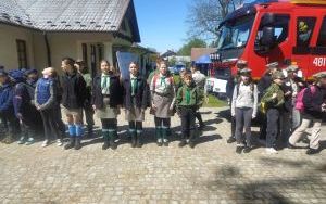 zdjęcie (5)