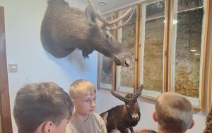 zdjęcie (5)