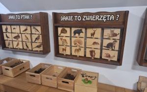 zdjęcie (14)
