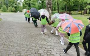 zdjęcie (5)