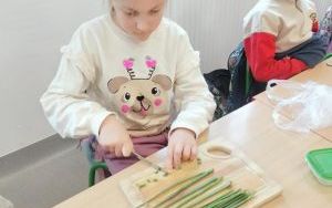 zdjęcie (4)