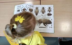 zdjęcie (5)