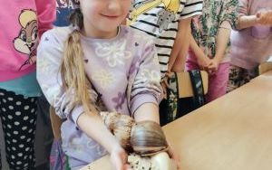 zdjęcie (13)