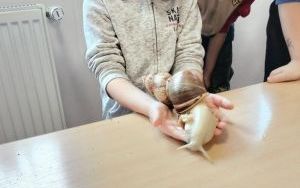 zdjęcie (17)