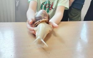 zdjęcie (2)