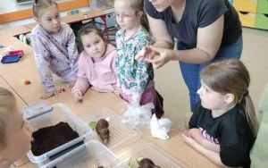 zdjęcie (4)