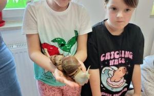 zdjęcie (10)