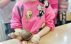 zdjęcie (11)