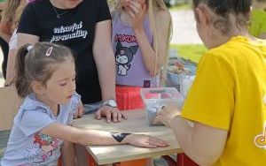 zdjęcie (15)
