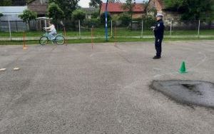 zdjęcie (10)