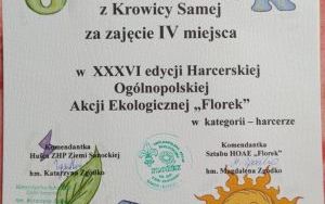 zdjęcie (2)