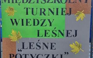 zdjęcie (12)