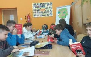 zdjęcie (10)