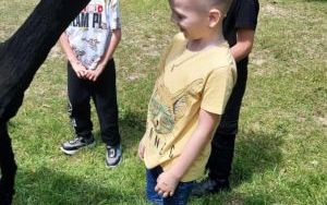 zdjęcie (10)