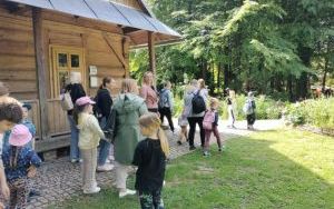 zdjęcie (5)
