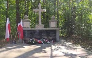 zdjęcie (13)