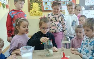 zdjęcie (12)