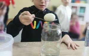 zdjęcie (13)