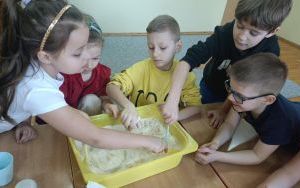 zdjęcie (2)
