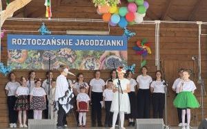 zdjęcie (13)