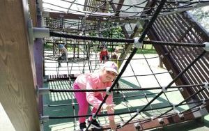 zdjęcie (15)